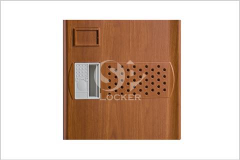 ABS-mini-door-color-wood-480x320